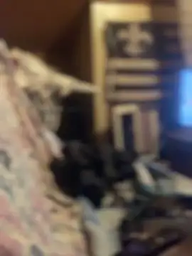 Ldnick69 Chat XXX in diretta