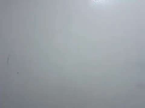 prettybeee Live XXX Chat