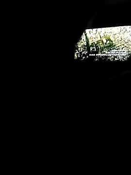 Show webcam de Monroe0303