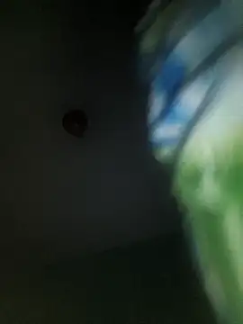 Villageanuty Webcam show