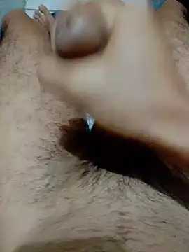 Haplis – Kamerová šou