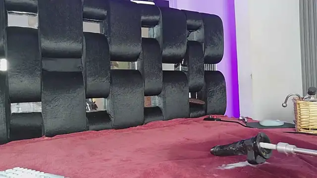 Show webcam de levana1