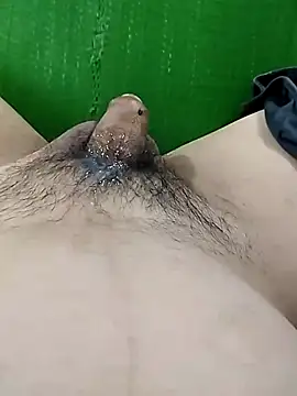 Show Webcam de setboy69