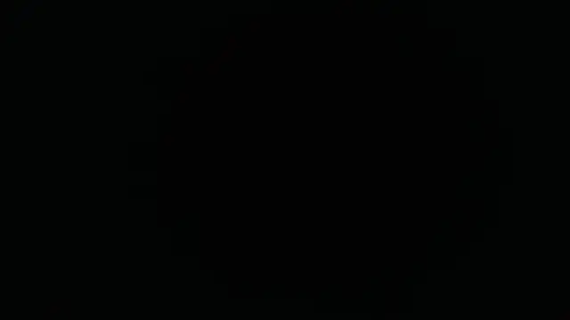 1BECHA1 élő XXX-chatje