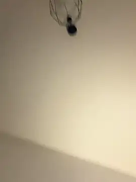 Guitccch: απευθείας συνομιλία ΧΧΧ