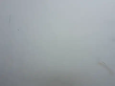 prettybeee 웹캠 쇼