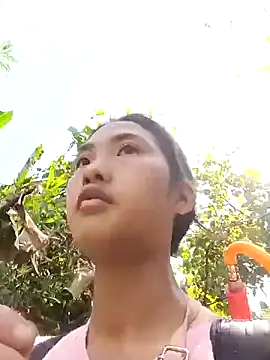 Hoa-tuylip webcam show