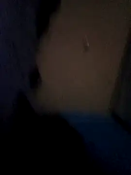 Show webcam de Robso10