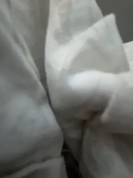 Show Webcam de Edu235