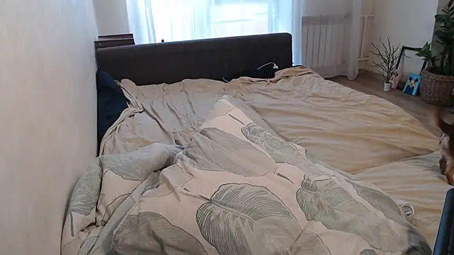 More_for_Jen Live XXX-Chat