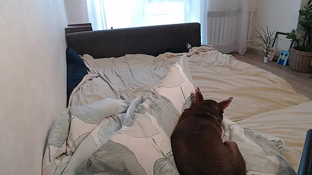 دردشة More_for_Jen الجنسية المباشرة