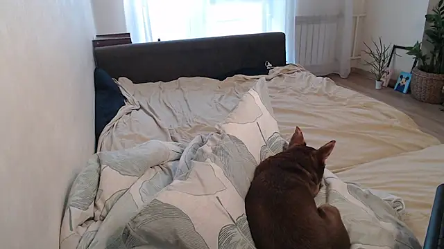 More_for_Jen's Live XXX Chat