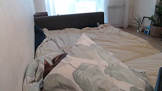 More_for_Jenのウェブカメラショー