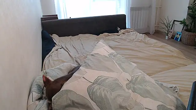 Chat XXX ao vivo de More_for_Jen