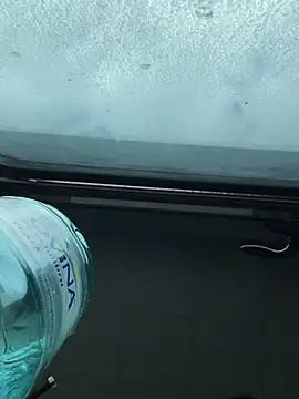 Онлайн чат XXX eveangelll