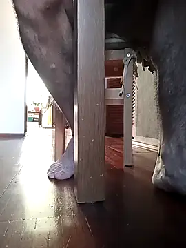 nipplegayfeet – Kamerová šou