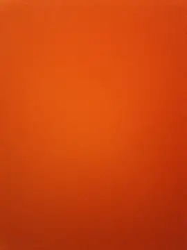 PUNAM456 现场XXX聊天