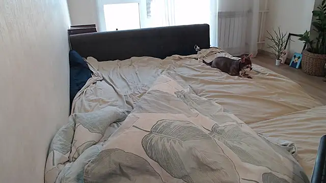 XXX chat uživo modela More_for_Jen