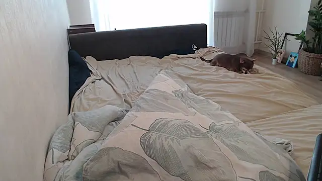 More_for_Jen élő XXX-chatje