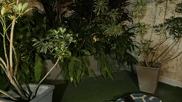 Chat +18 de loladupont ao vivo