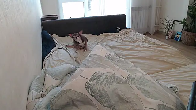 More_for_Jen – Live XXX-chat