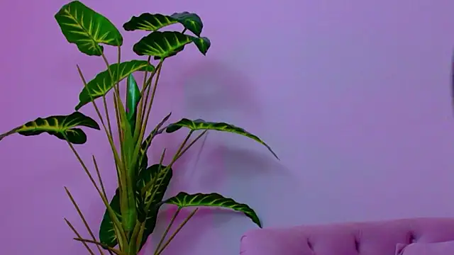 Ivorym00nのウェブカメラショー