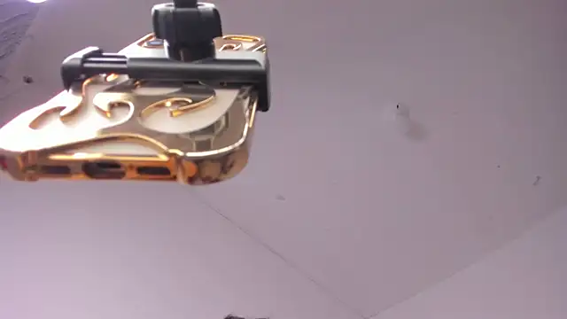 Nia13のウェブカメラショー