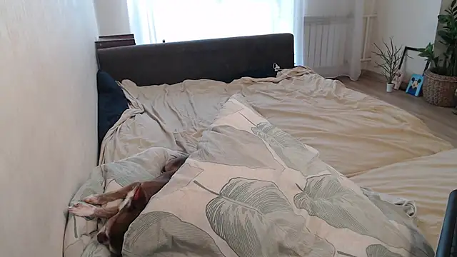 More_for_Jen Chat XXX in diretta