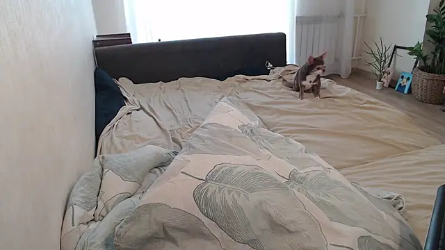 More_for_Jen live XXX chat