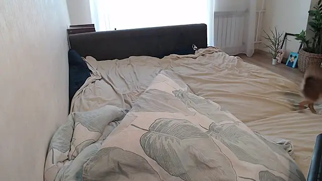 More_for_JenのライブXXXチャット