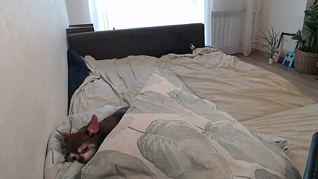 More_for_Jen Live XXX Chat