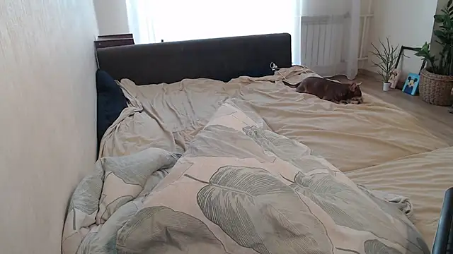 More_for_Jen: онлайн-секс-чат