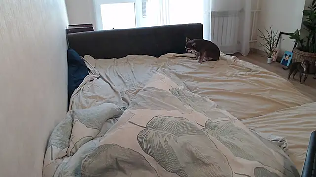 More_for_Jen Chat XXX live