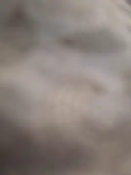 Živý XXX chat RikCum4u