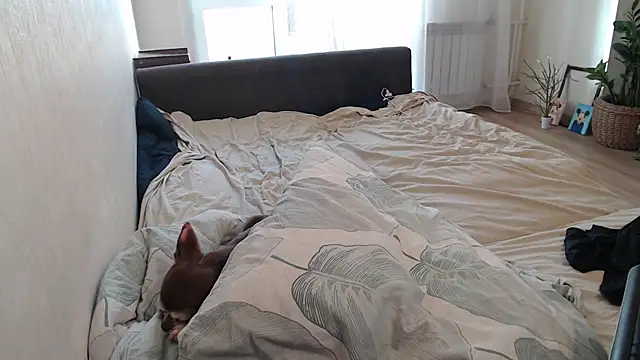 More_for_Jen Chat XXX in diretta