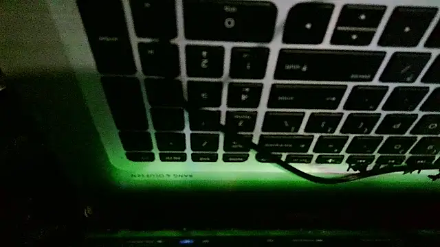 Bhives webkamerás műsora