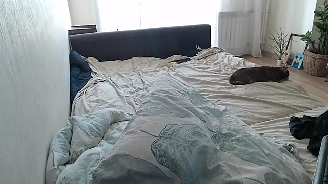 Živý XXX chat More_for_Jen