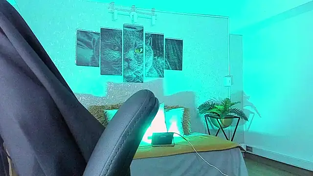 Chat XXX en directo de Nils_saintt