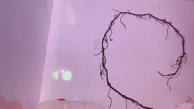 BeChinh_Lee 웹캠 쇼