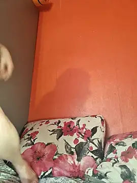 BustyLanaX Live XXX-chat