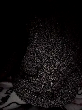 Hottiesophie Show Webcam