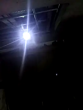 Hoa-tuylip Pertunjukan Webcam