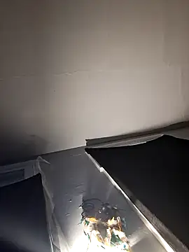 Pokazy przed kamerką – RealisedBooking