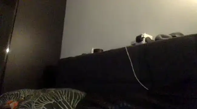 Dirty0892のウェブカメラショー