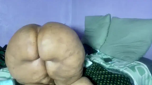 wilmaassylum webcam show