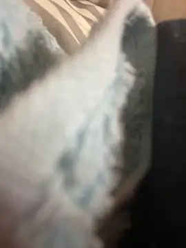 โชว์เว็บแคมของ Keola_kwad