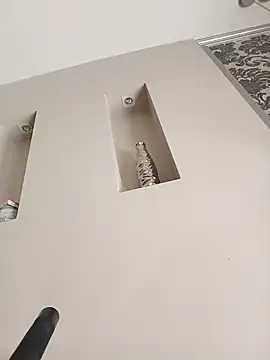 Exterminador48 Show Webcam