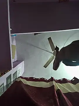 Rocko0309 – Live XXX-chat