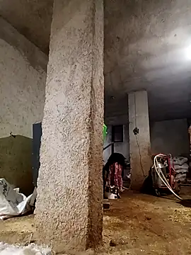 Pertunjukan Kamera Web Melekyaraksever2545