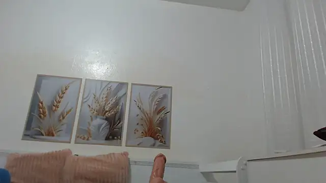 Nicollebr's Webcam Show